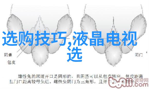 玉石百科我来告诉你那些让人惊叹的玉石故事