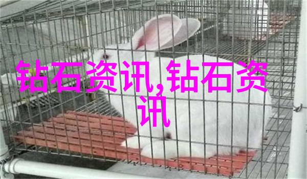 中西文化差异英文举例东方与西方的文化对比