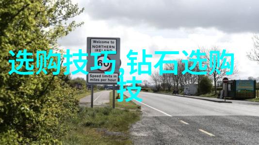 璀璨夺目精选珠宝艺术品