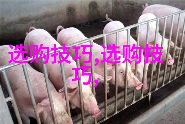企业家梦想起航工商管理的就业指南
