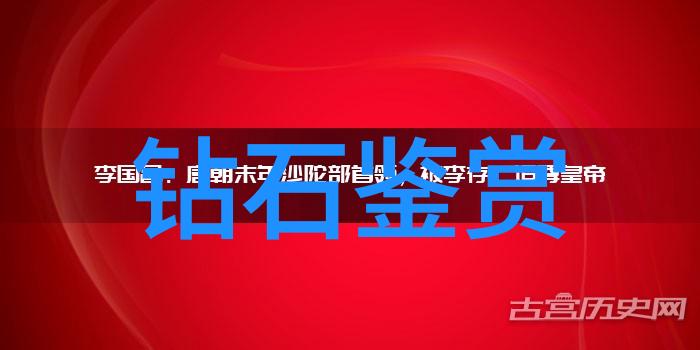 护理学知识体系深度探究现代护理实践与理论基础
