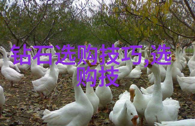揭秘广州美术学院分数线艺术梦想的入门密码