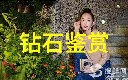 乌鸦喝水的故事黑夜中的清泉传奇