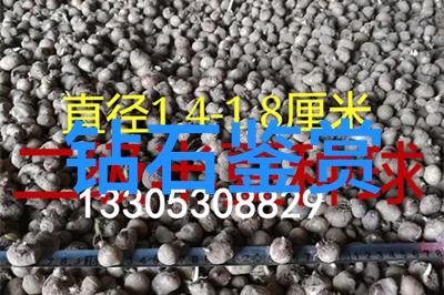 翡翠鉴别艺术揭秘辨别真伪的技巧与方法