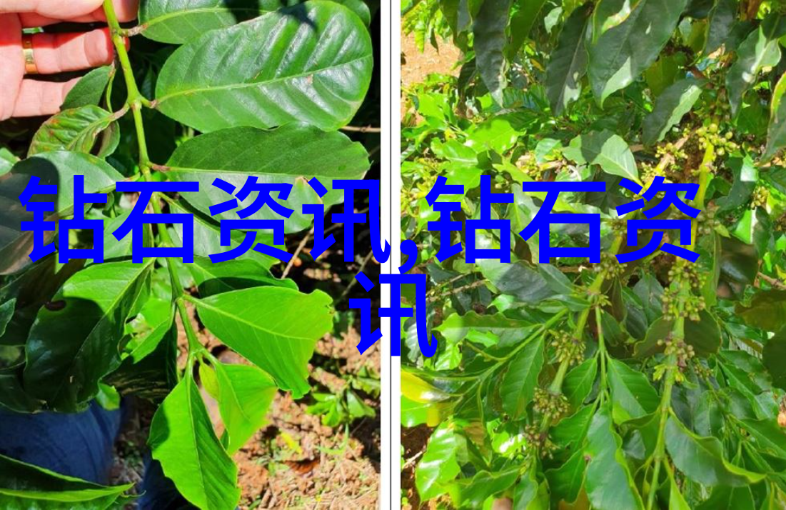 价格评估标准结合国际市场价格体系进行实时调整评估值位法则