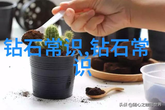 翡翠的选择艺术如何辨别一颗好的翡翠