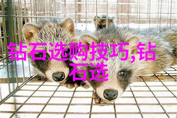 探秘中国的十大文化遗产揭秘古迹背后的故事与奥秘