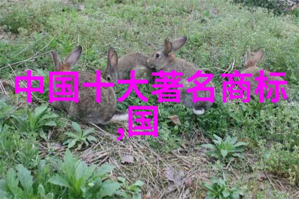 凯撒文化古罗马辉煌的遗产与现代影响
