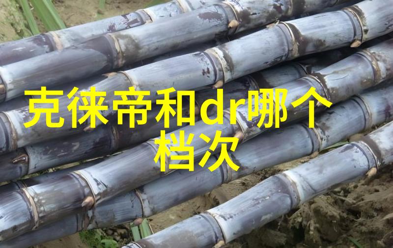 展开对中国传统文化魅力的十个深度探讨