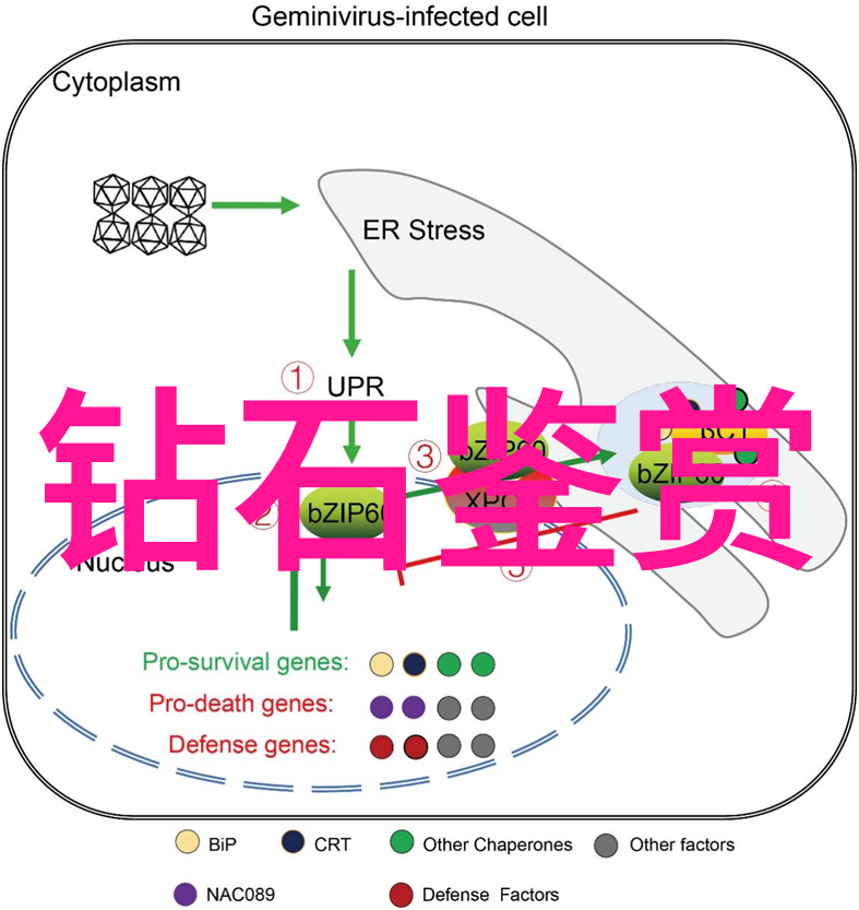 好妈妈快点想死我了-哀嚎与呵护一个孩子的绝望之声