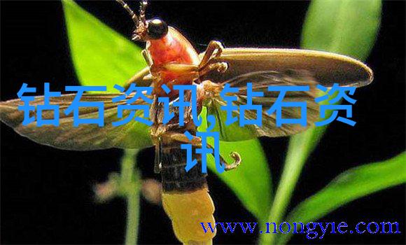 铣削精髓揭秘机械加工的工艺奥秘