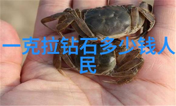 玉石俱焚揭秘免费鉴定玉的神秘世界