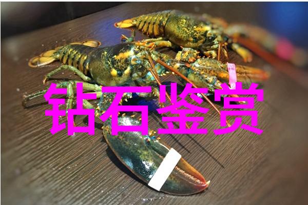 食材使用差异中医理论在中西饮食中的应用