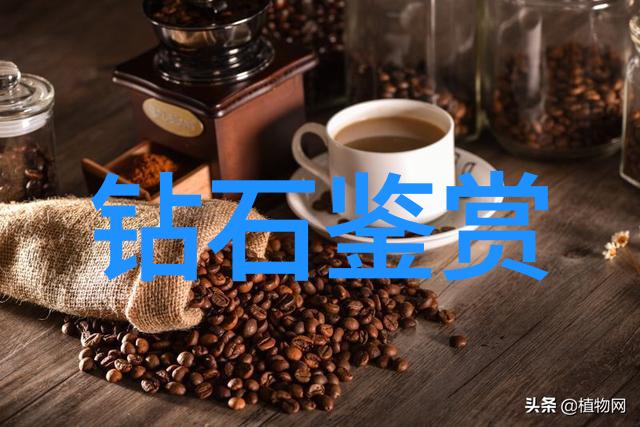 小马过河智慧与团结的古老故事