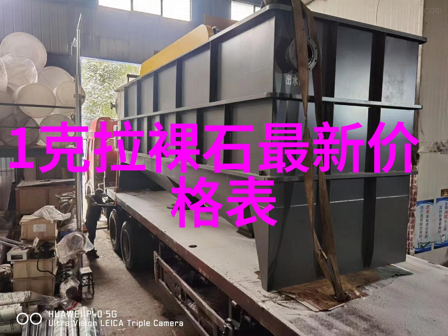 穿越时空寻找真相叶麦尔森雷恩斯诺克的未知领域