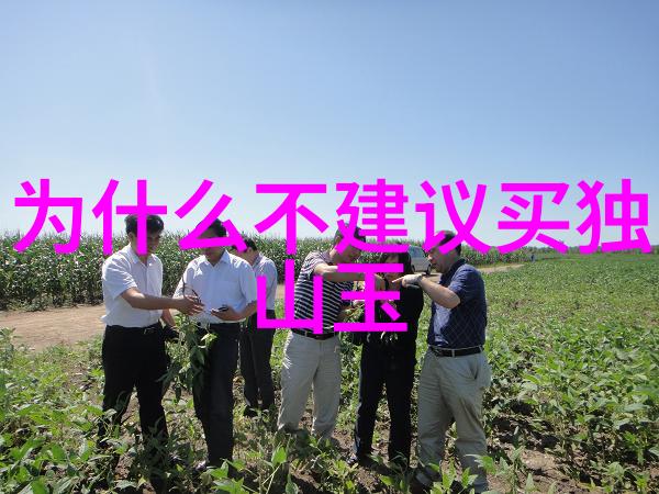 玉翡辨器从手镯到珠宝探险