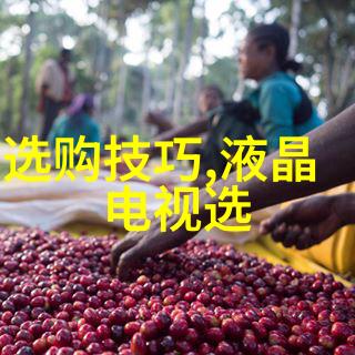 宠物医疗技术-从基因编辑到远程监控宠物医疗技术的未来趋势