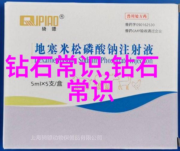 探索自然奇遇迈开腿让尝尝你的森林APP体验总结