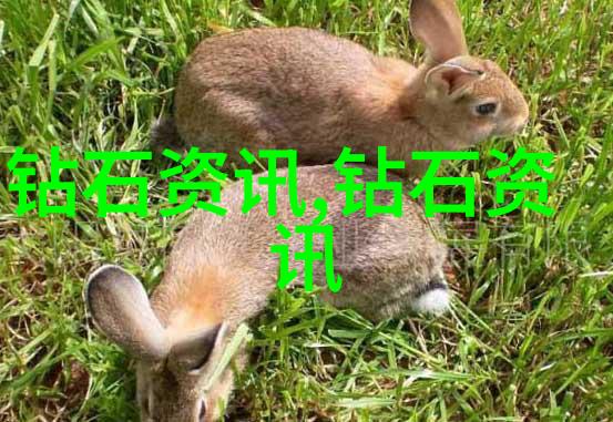 翡翠鉴定-揭秘翡翠之谜真假鉴定大师
