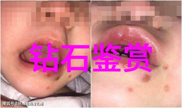 四房播播探秘家庭生活的多样性