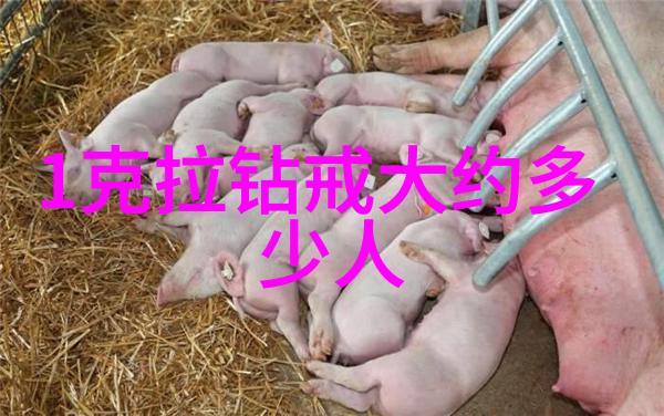 工艺美术的核心元素有哪些