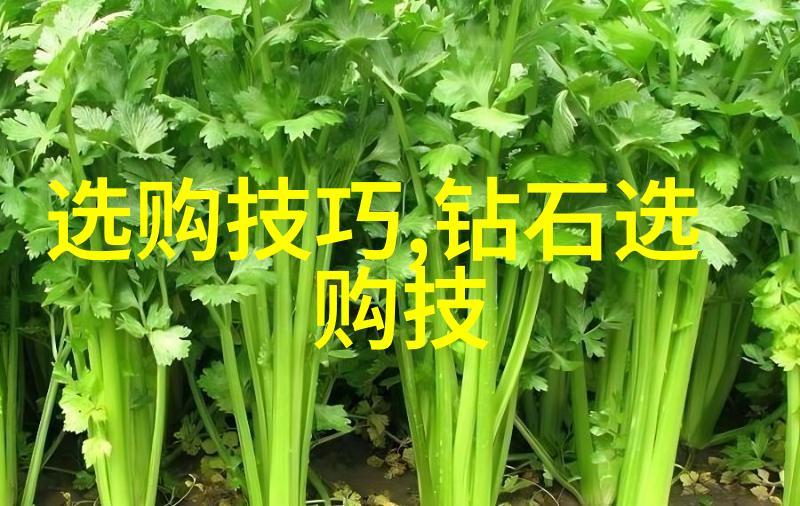 厦门工艺美术学院传承与创新之旅