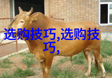 中国传统文化征文绘卷千年探秘古代艺术的神韵