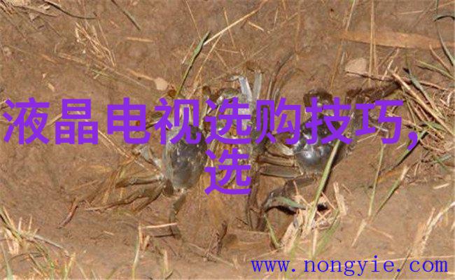 宁波大学沿海城市的学术之窗