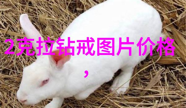 笔尖流出的故事500字六年级我是小小的故事匠人