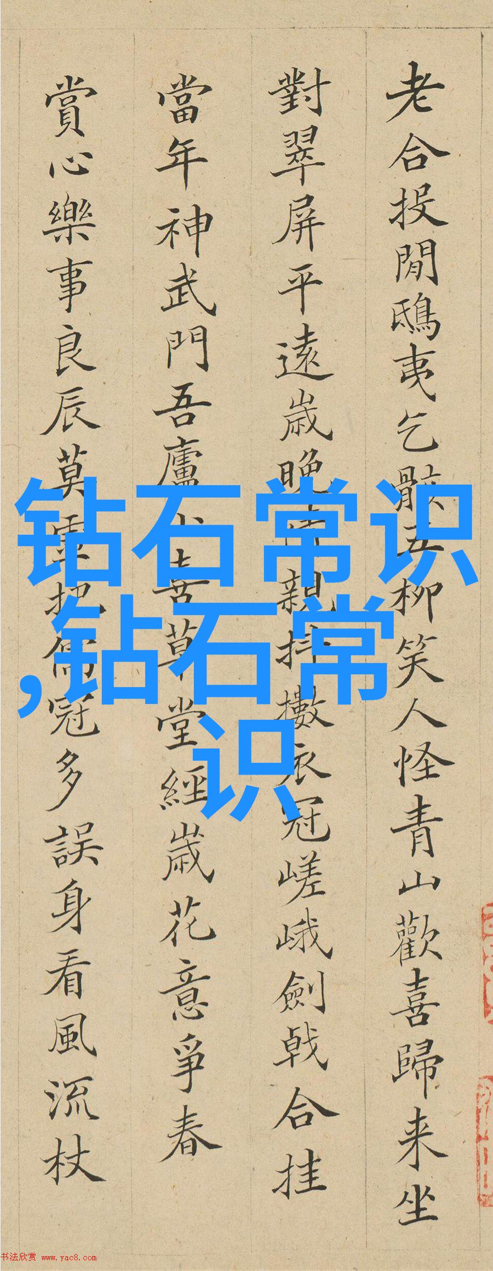 文化局工作人员深入了解传统文化的重要性