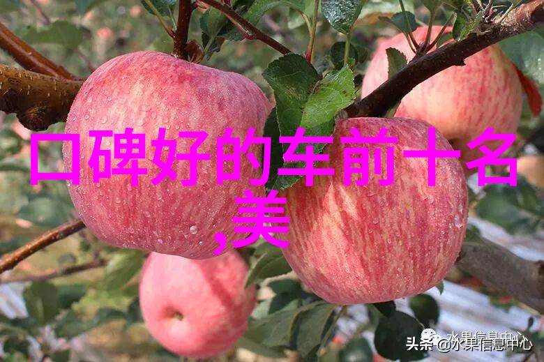 理我一下心灵慰藉的音乐世界