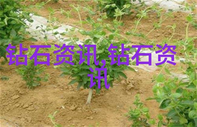 工艺过程-剖析工艺流程从原料准备到成品检验的每一个环节