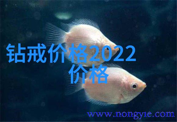 民间工艺的魅力织梦于丝线之上