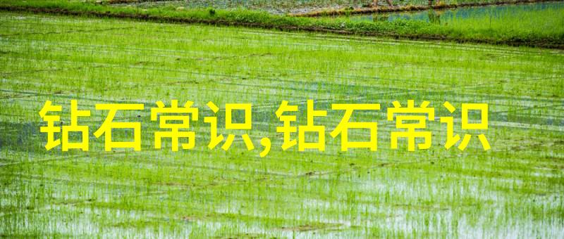 工艺制作巧手匠人与技艺传承