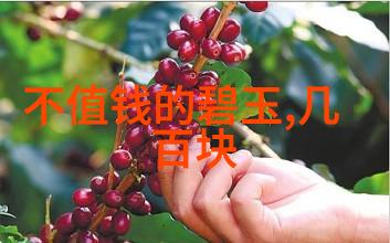 逆袭的小红帽从森林里的孤儿到城堡里的女王