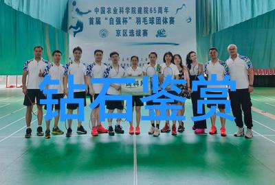 叙事象征寓意解读不同类型宝石的情感表达方式