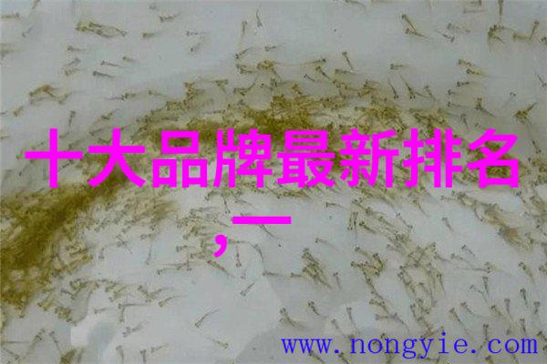 世界宝石排名璀璨的珍珠王座
