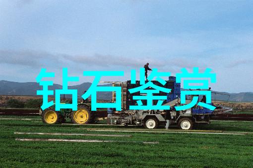 学科门类的多样性与深度探索