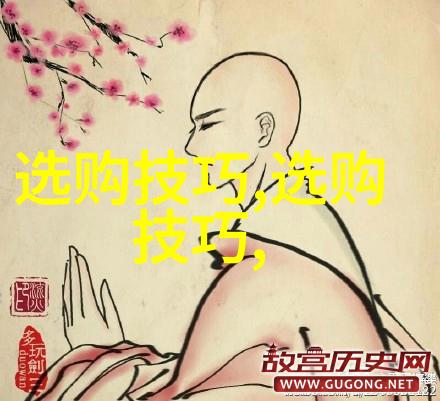 漫步动画世界的痛苦与欢笑一段免费的冒险之旅