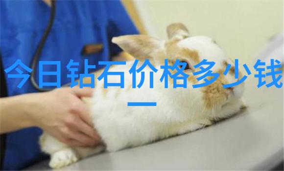中华文化的四大精髓传统韵味与现代魅力共生
