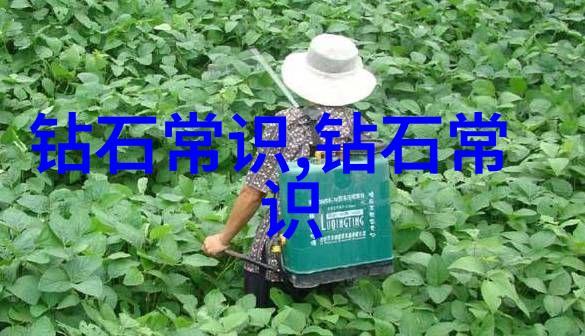 挑战极限塑造梦想深入了解中国美术学院珠宝设计竞赛回顾录影带制作计划书