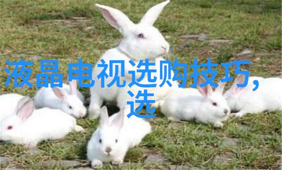 广东轻工职业技术学院我在这所学校的日子总是充满了创意与实践