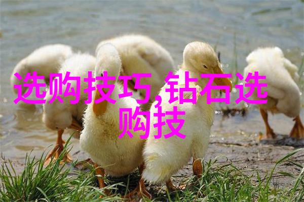 工艺与技术两种创造力的不同面纱