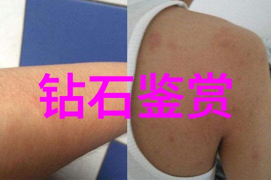 室外设计理念创造自然融合的宜居空间