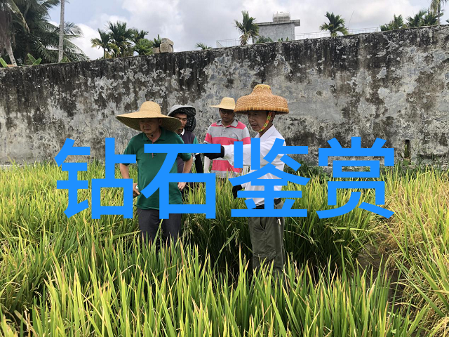 学珠宝设计的艺术从初学到专业的旅程