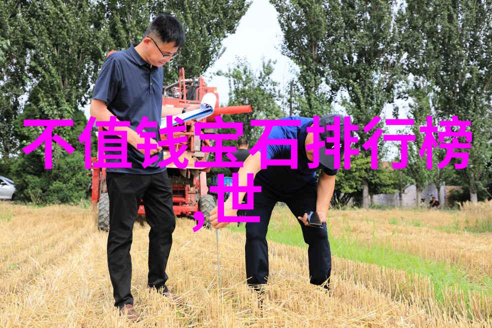 工艺流程详解精细工业生产的关键步骤分析