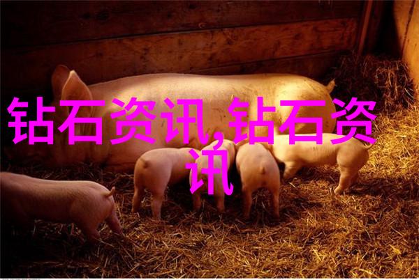 重生之黑道女王逆袭的荣耀与血肉