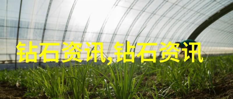 书法与篆刻传统文化在小学生手中的再现