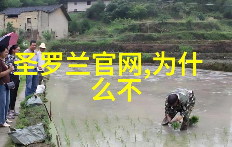 宝石猎人-深渊之光追逐稀世珍珠的冒险