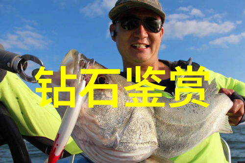 广州美术学院录取分数线分析与趋势预测